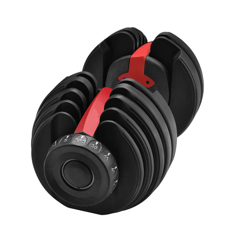 Encapsulated dumbbell 1