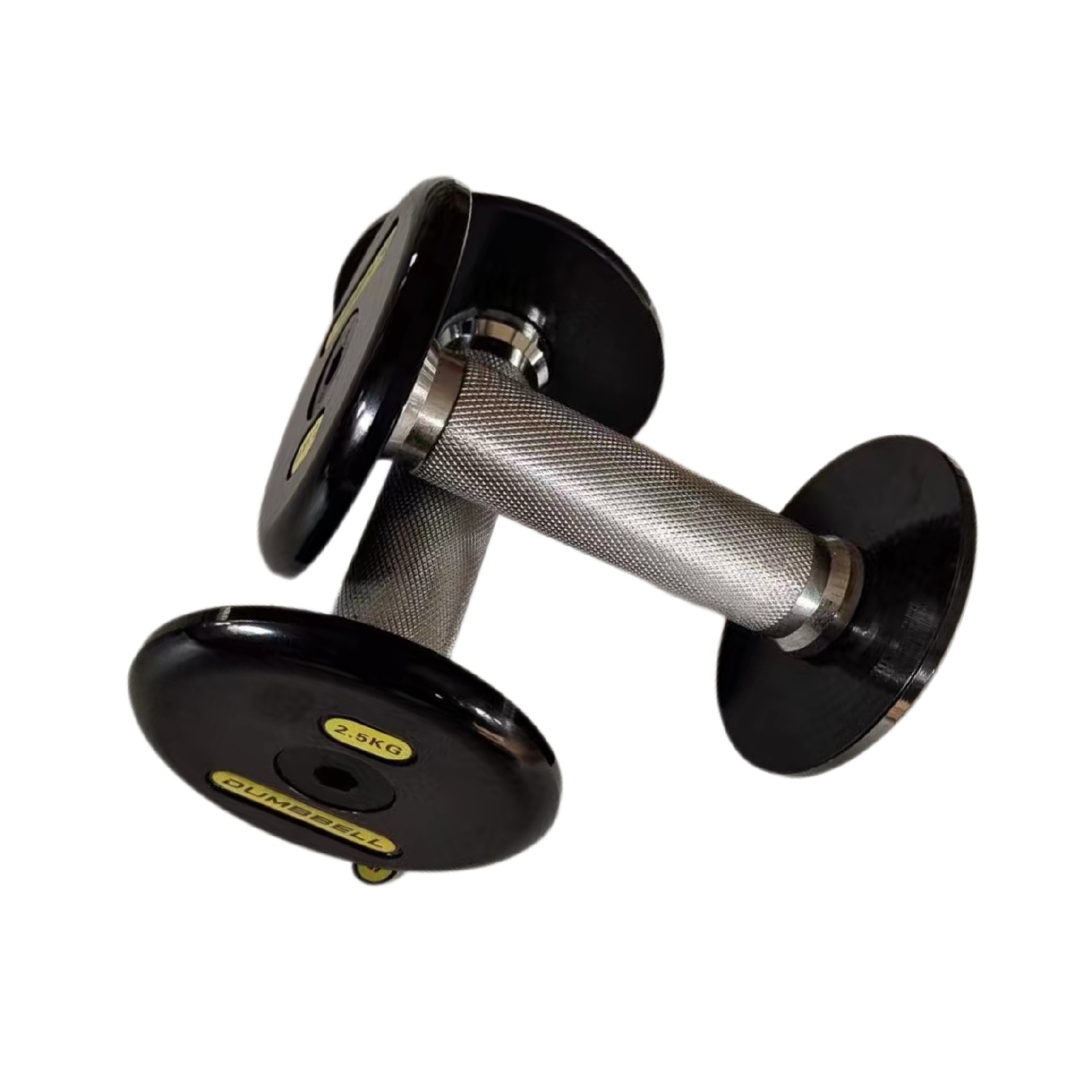 Flat-headed Painted Dumbbell