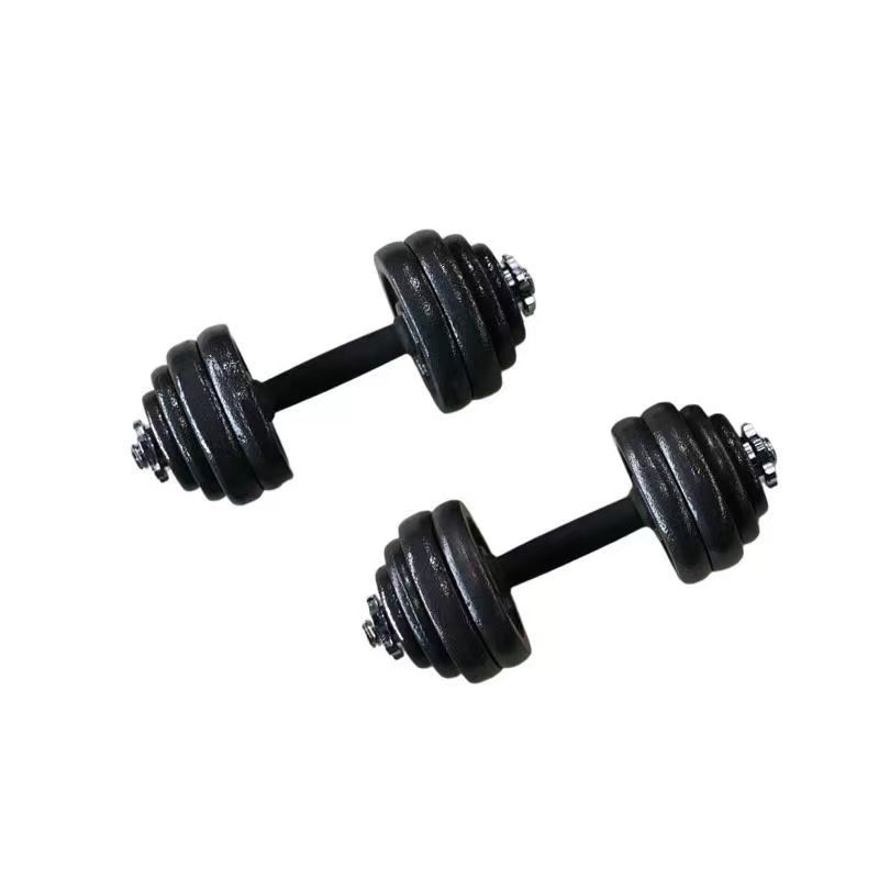 Paint Dumbbell